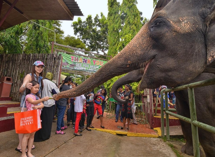 yussy homestay @ afamosa villa malacca safari theme park
